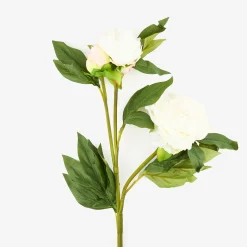 Casa Viva Flor artificial peonia blanca 72cm Outlet