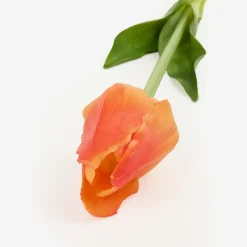 Casa Viva Flor artificial tulipán naranja 48cm Discount