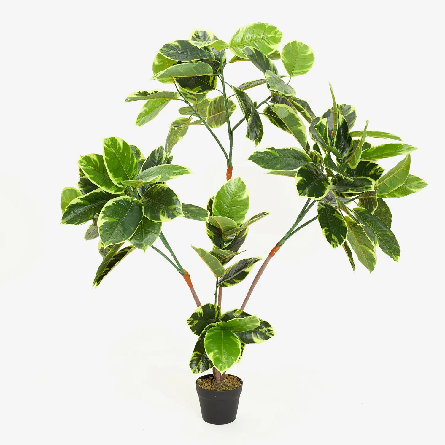 Casa Viva Planta artificial en maceta Ficus 145cm New