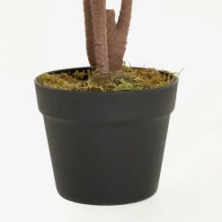 Casa Viva Planta artificial en maceta Ficus 145cm New