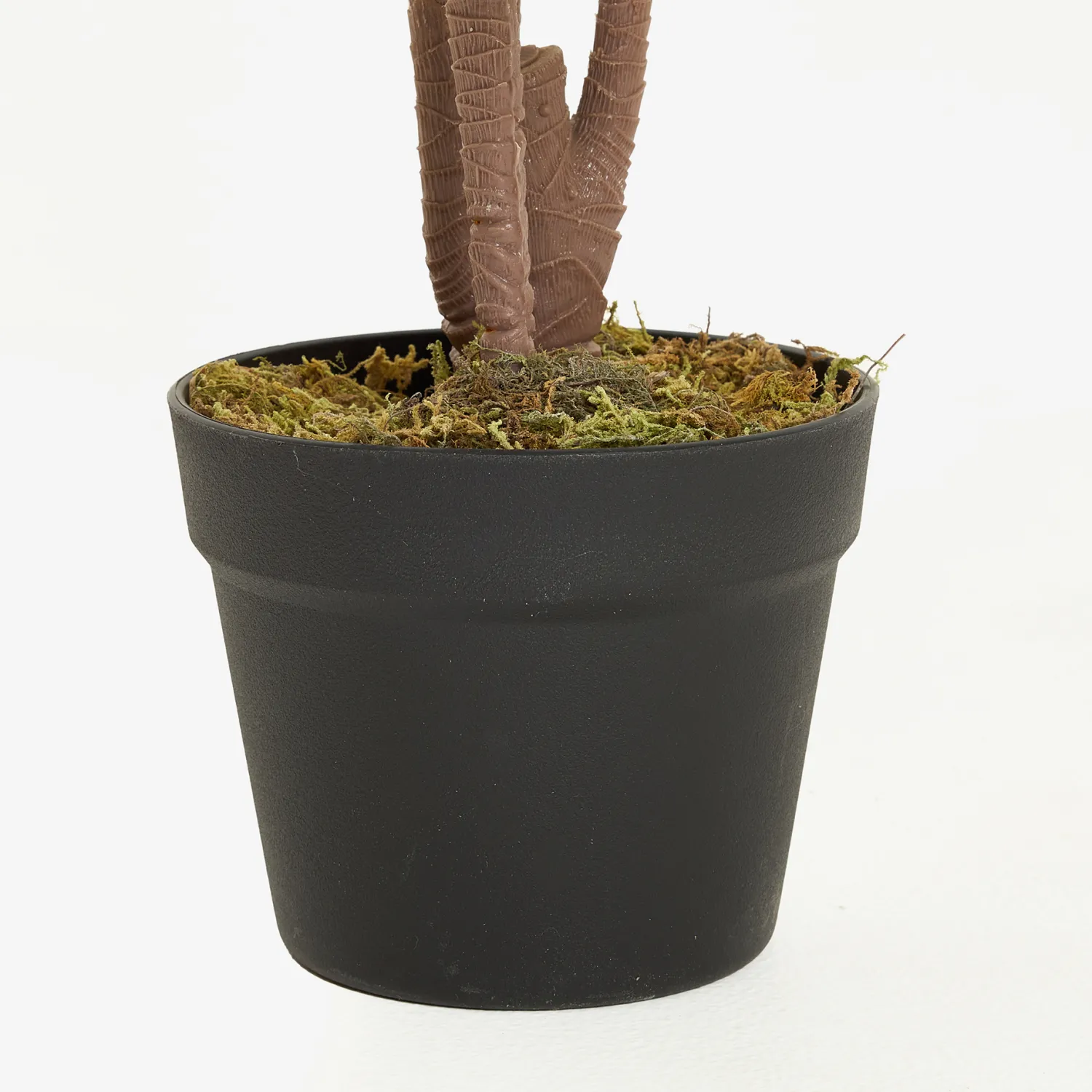 Casa Viva Planta artificial en maceta Ficus 145cm New