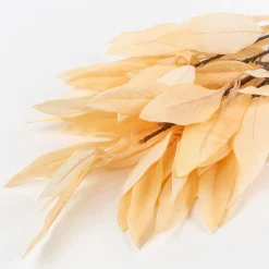 Casa Viva Rama de laurel beige