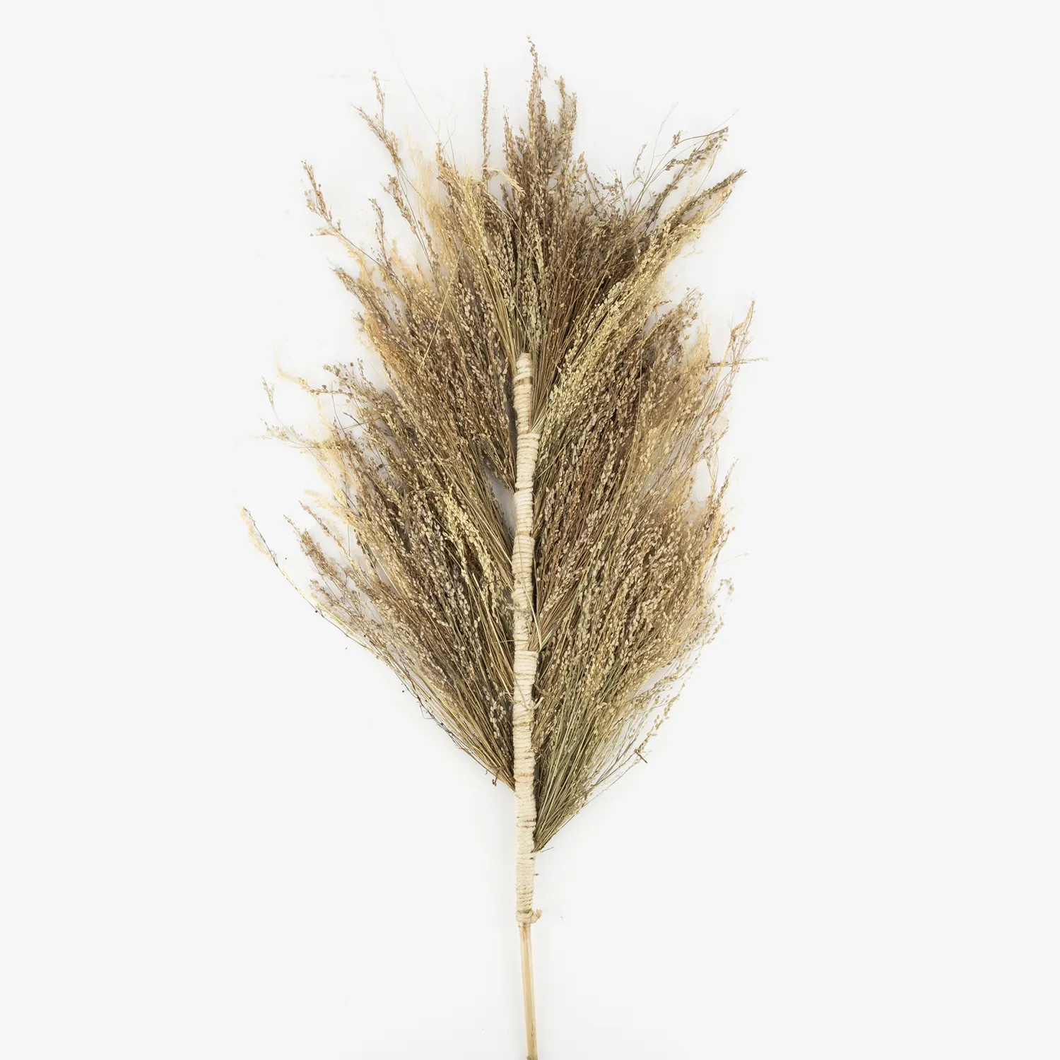 Casa Viva Rama flor seca espiga 150cm Discount