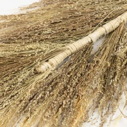 Casa Viva Rama flor seca espiga 150cm Discount
