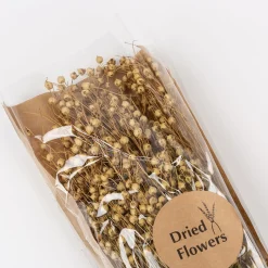 Casa Viva Ramo de ramas secas natural Discount