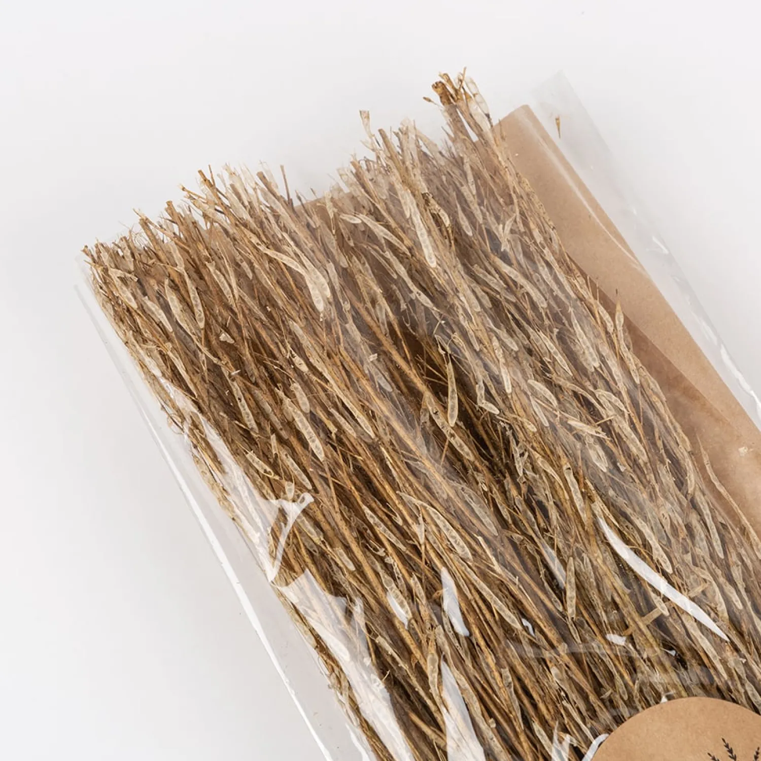 Casa Viva Ramo de ramas secas natural Discount